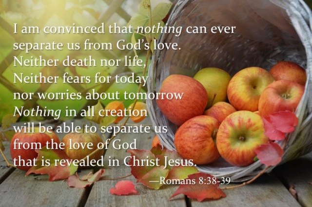 Thanksgiving 2017_fin