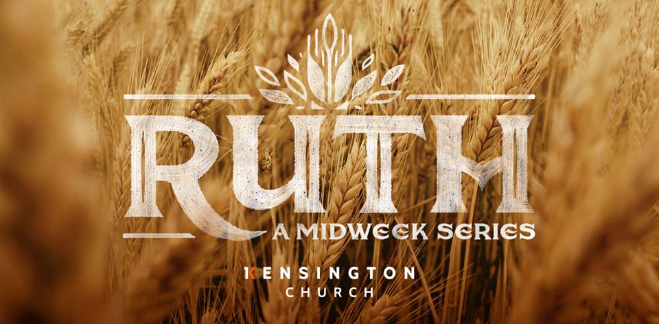 43497191_10156728119077463_6411426252032311296_n